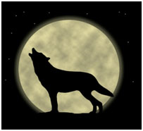wolf